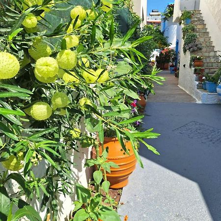 Βig Βlue Apartments Makrýgialos Екстериор снимка