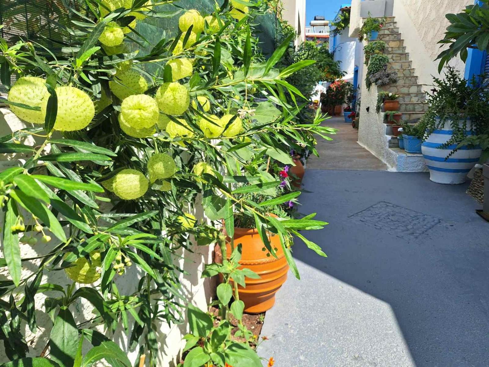 Βig Βlue Apartments Makrýgialos Екстериор снимка