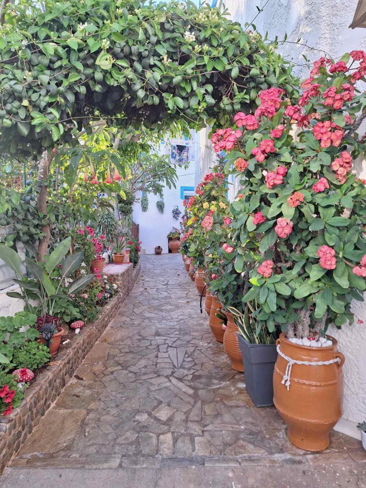 Βig Βlue Apartments Makrýgialos Екстериор снимка