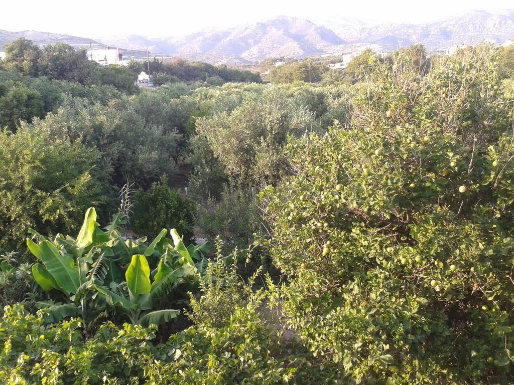 Βig Βlue Apartments Makrýgialos Стая снимка